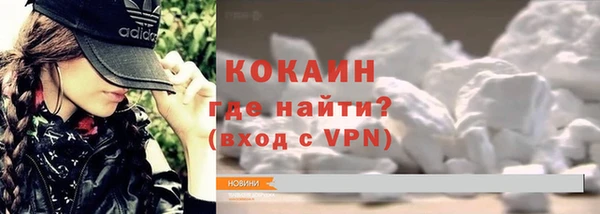 крисы Алзамай