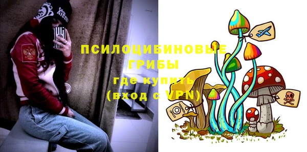 крисы Алзамай