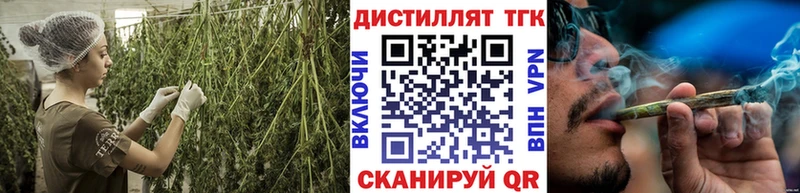 где найти Мышкин MEGA зеркало ТГК концентрат